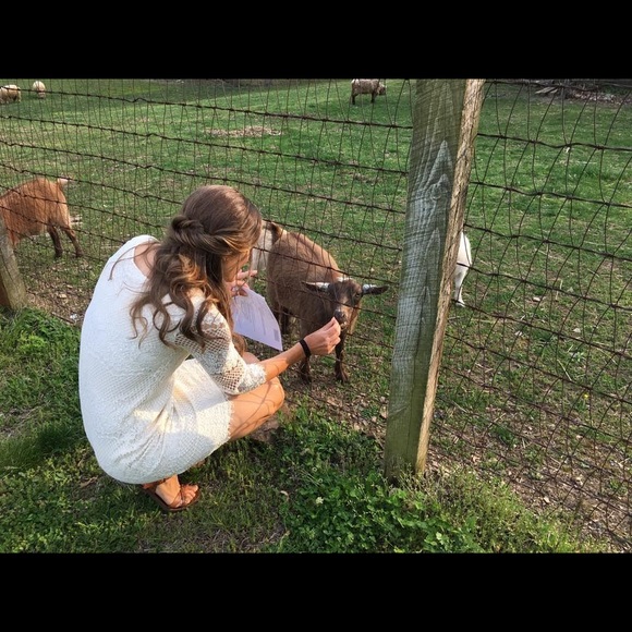 Great dress! Just needs to be steamed - Picture 4 of 4